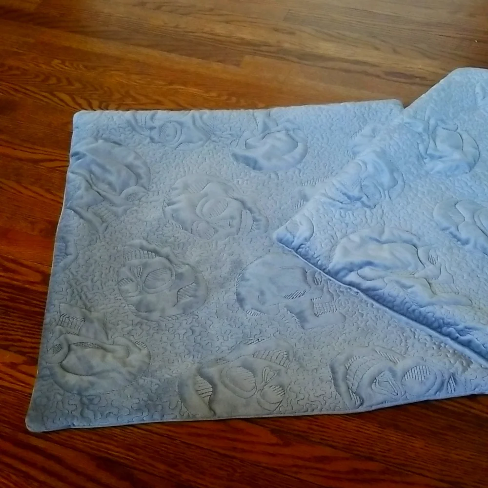 Set of 2 pillow covers
